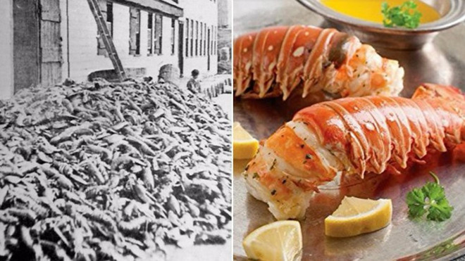 Từng là thứ phế phẩm, đem làm phân bón, món ăn này đã trở thành thực phẩm đắt đỏ trong các nhà hàng sang trọng Ảnh 2