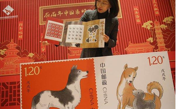 Người Trung Quốc xếp hàng xuyên đêm mua tem năm Tuất Ảnh 2