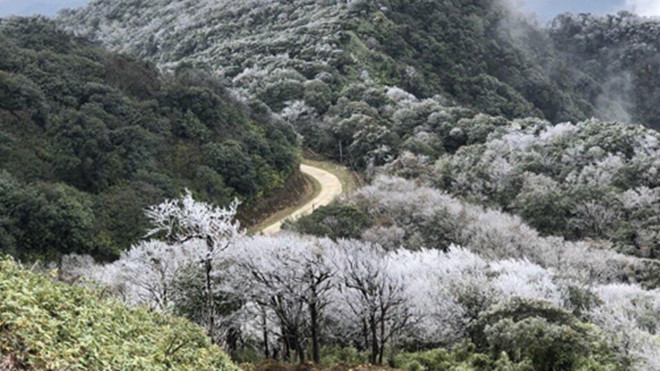 Hôm nay, Hà Nội rét nhất trong vòng 2 năm, vùng núi cao khả năng có tuyết rơi Ảnh 2