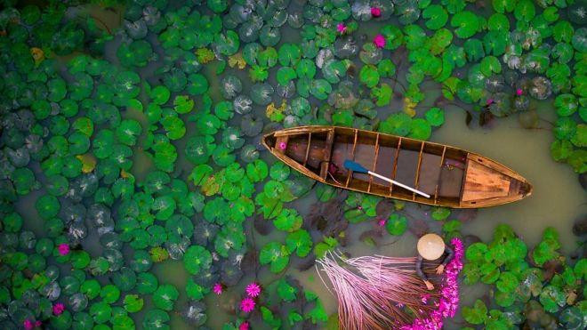 22 khung cảnh trên không đẹp nhất hành tinh, đầm hoa súng Việt Nam cũng nằm trong số đó Ảnh 2