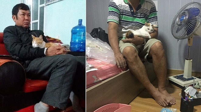 Khi bố mẹ nói 'Đem chó mèo vứt đi, không nuôi gì cả' và cái kết 'lay động' cư dân mạng Ảnh 2