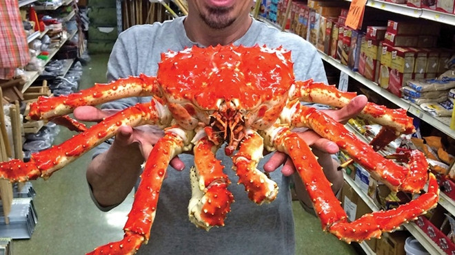 Cua hoàng đế chỉ ăn được chân thôi mà tại sao đắt đỏ đến thế? Ảnh 2