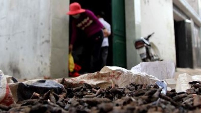 Chủ thu mua vật liệu trình báo tàng trữ 2 tấn đầu đạn Ảnh 2