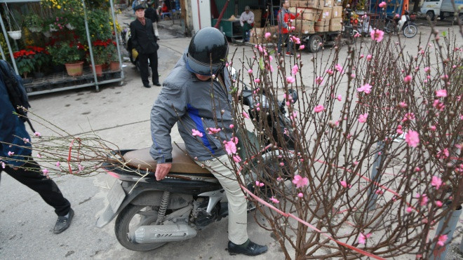 Chợ Quảng Bá ngập sắc hoa đào Nhật Tân, giá rẻ chỉ 50 nghìn/cành Ảnh 2