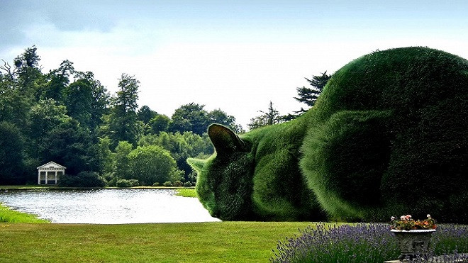 Chẳng cần photoshop, thiên nhiên cũng có thể tự tạo ra những 'siêu phẩm' như thế này Ảnh 2