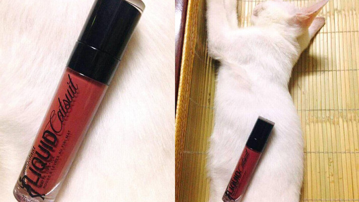 Tác dụng mới của các 'boss': giúp 'con sen' chụp ảnh sống ảo, bán hàng online Ảnh 2