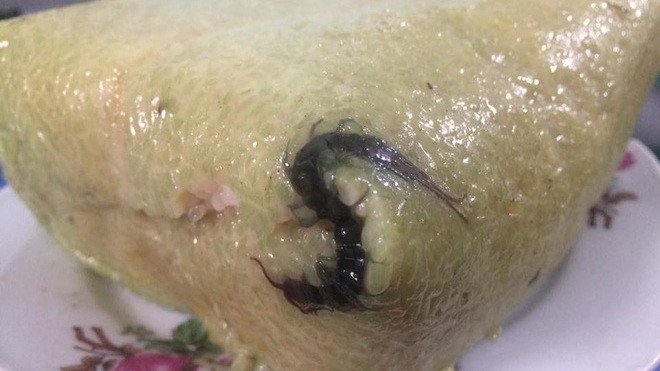 Nàng dâu Hải Phòng rùng mình khi thấy con rết trong chiếc bánh chưng Ảnh 2