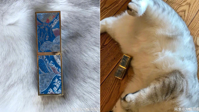 Rộ mốt lấy thảm lông 'boss' làm nền chụp ảnh bán hàng, chàng trai cung cấp ngay dịch vụ cho thuê mèo Ảnh 2