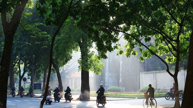 Dự báo thời tiết ngày 19/1: Bắc Bộ ấm dần, Nam Bộ có mưa Ảnh 2