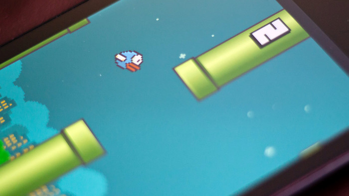 Đây là chú chim đầy 'thị phi' từng khiến hàng triệu người muốn… đập điện thoại Ảnh 2