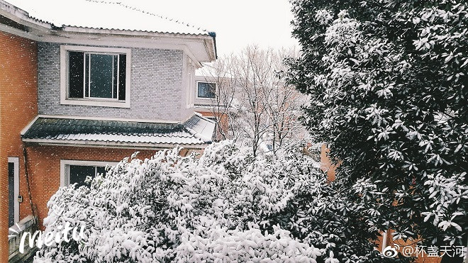 Nhìn tuyết rơi trắng xóa ở nơi diễn ra chung kết U23 Việt Nam - Uzbekistan, người hâm mộ nghĩ gì? Ảnh 2