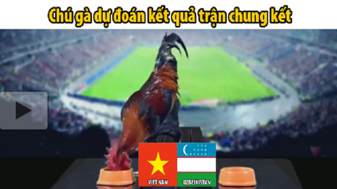 Thích thú với clip các nhà tiên tri 'gà, đà điểu, cào cào' dự đoán U23 Việt Nam vô địch Ảnh 2