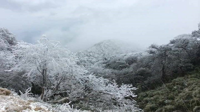 Băng tuyết bao phủ đỉnh Mẫu Sơn, giới trẻ tận dụng cơ hội check-in ảnh đẹp Ảnh 2