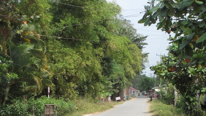 Bị đánh chết khi cự cãi với người say đi vệ sinh ven đường Ảnh 2