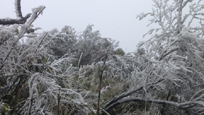 Miền Bắc hứng chịu đợt lạnh nhất năm, nhiều tỉnh thành rét dưới 5 độ C Ảnh 2