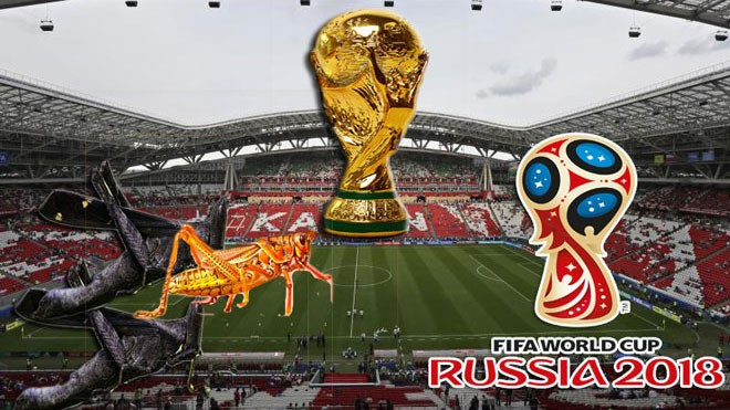 'Đại dịch' châu chấu đe dọa VCK World Cup 2018 khiến nước Nga đau đầu Ảnh 2
