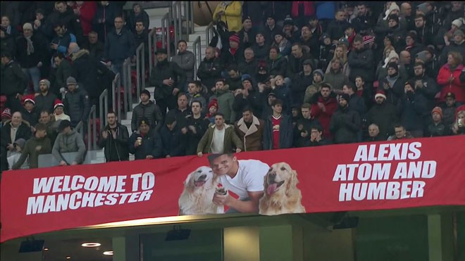 Cún cưng của Sanchez được CĐV M.U chào đón theo cách khó tin Ảnh 2