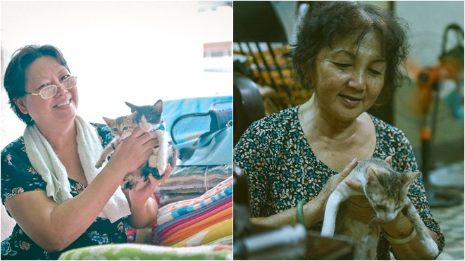 Chuyện những ‘bà khùng’ gần 20 năm cưu mang mèo hoang ở Sài Gòn Ảnh 2