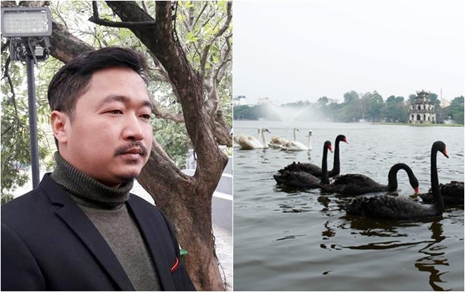 Người tặng thiên nga tại Hà Nội từng bị phạt vì nuôi động vật hoang dã Ảnh 2