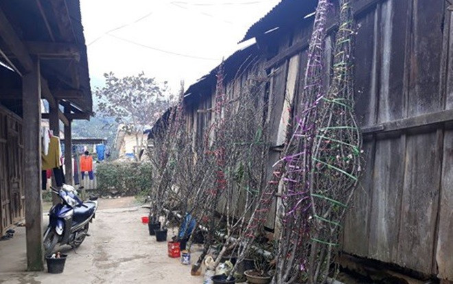 1.001 kiểu thưởng Tết khiến người được nhận chỉ biết… cười ra nước mắt Ảnh 2