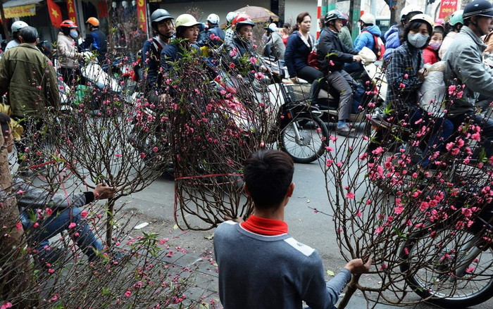 CNN chọn chợ hoa Quảng Bá, Hà Nội trong 14 điểm chơi Tết nổi bật Ảnh 2