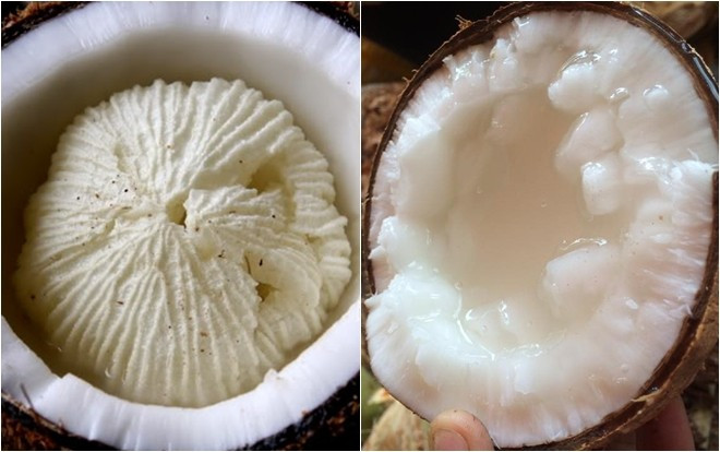 Dừa sáp Trà Vinh dẻo thơm ngon nức tiếng, Tết này còn chần chừ gì nữa mà không mua làm quà? Ảnh 2