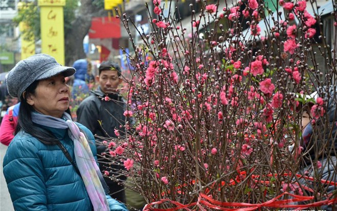 Không khí Tết tràn ngập đường phố ở Việt Nam lên báo nước ngoài Ảnh 2