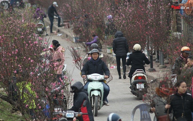Nếu chưa thấy Tết, hãy tìm đến sắc đào ở chợ hoa Quảng Bá Ảnh 2