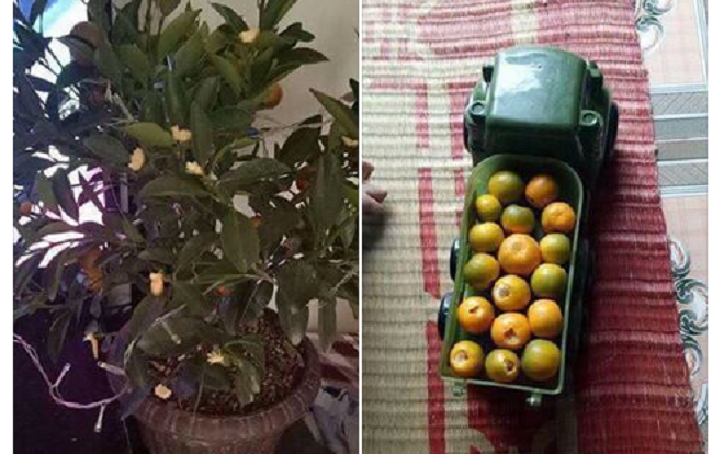 Cười không nhặt được mồm với hình ảnh 'mới 29 đã hết Tết' Ảnh 2