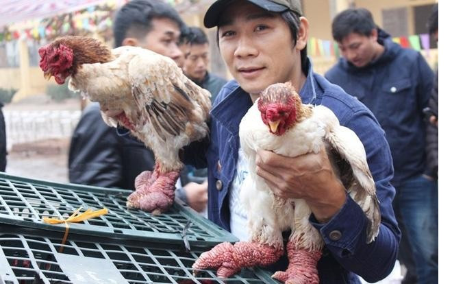 5 đặc sản quý hiếm được 'săn lùng' dịp Tết Ảnh 2