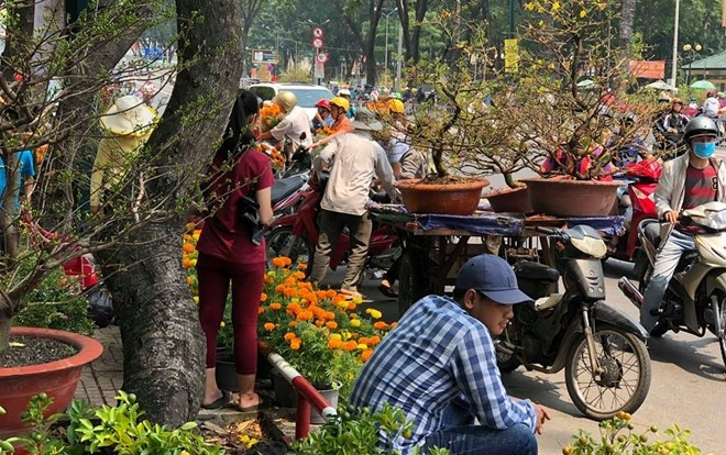 Cây cảnh bán rẻ như cho vẫn bị ép giá, tiểu thương Sài Gòn chặt nát vứt vào thùng rác Ảnh 2