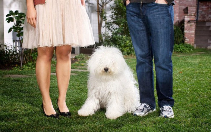 Năm Mậu Tuất, ngắm loạt chó cưng 'cute lạc lối' của những ông lớn công nghệ Ảnh 2