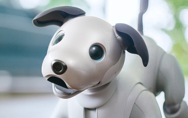 Năm mới Mậu Tuất, gặp chú chó robot dễ thương nhất hành tinh Ảnh 2