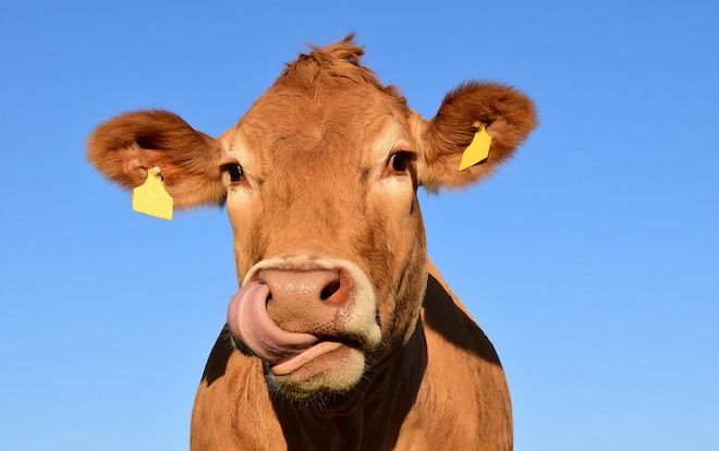 Những điều tưởng chừng kỳ cục nhưng người Mỹ lại ‘tin sái cổ’ Ảnh 2