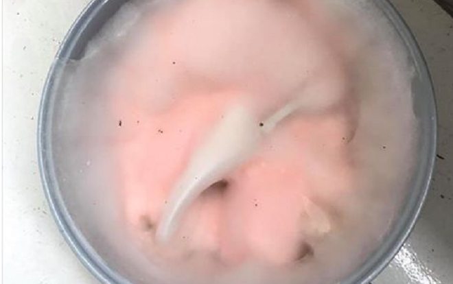 Trở lại phòng trọ sau kỳ nghỉ Tết: Nồi cơm mốc xanh, thức ăn ôi thiu Ảnh 2