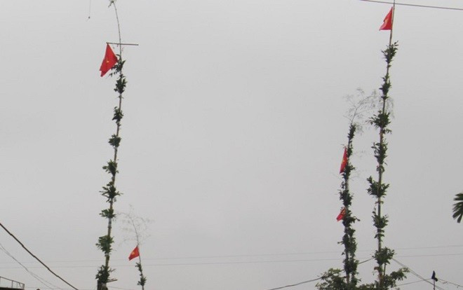 Hạ cây nêu, hai anh em ruột bị điện giật phải nhập viện cấp cứu Ảnh 2