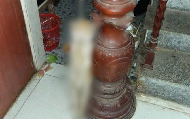 Chỉ vì ăn vụng ngày Tết, chú mèo bị nam thanh niên treo ngược lên cầu thang rồi dọa 'hóa kiếp' Ảnh 2