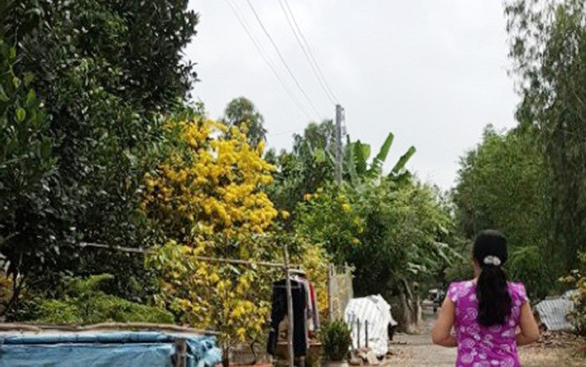 Gia đình của nghi phạm giết 5 người ở Sài Gòn sợ bị trả thù Ảnh 2