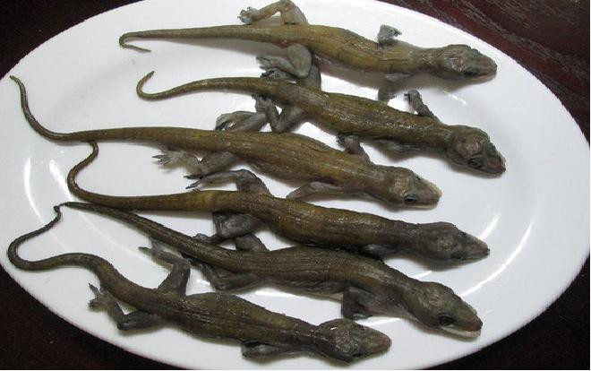 6 đặc sản miền Tây nhìn 'sợ chết khiếp' nhưng tuyệt ngon Ảnh 2