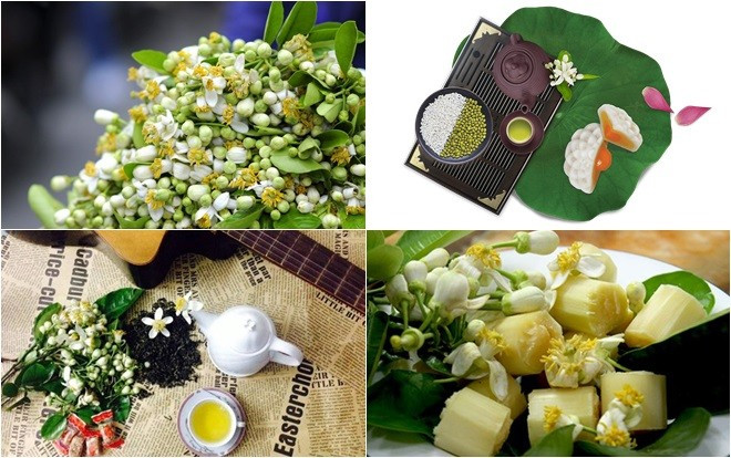 Xuân đến mùa hoa bưởi lại dịu dàng về trên phố, mách bạn những món ngon không thể thiếu hương nồng nàn của loài hoa này Ảnh 2