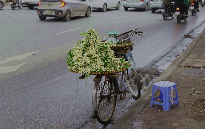 Giữa những ngày mưa phùn tí tã, có một niềm vui mang tên mùa hoa bưởi 'thơm từng cơn gió' Ảnh 2