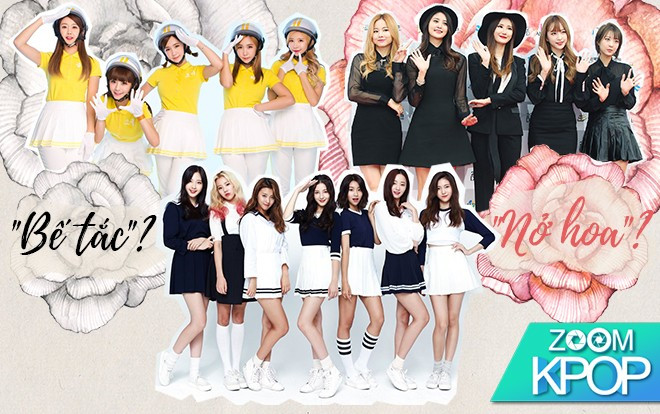 Momoland: Sự nghiệp sẽ ‘nở hoa’ giống EXID hay ‘bế tắc’ như Crayon Pop? Ảnh 2