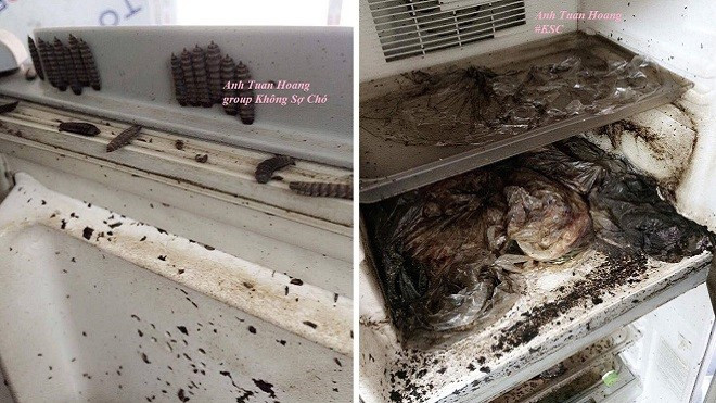 Tủ lạnh 'nhung nhúc giòi bọ' mới chính là 'đỉnh cao' của câu chuyện 'phòng trọ sinh viên sau Tết' Ảnh 2