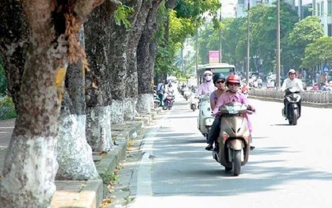 Dự báo thời tiết 1/3: Miền Bắc ấm dần, Nam Bộ nắng nhẹ Ảnh 2