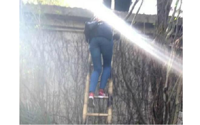 Giang hồ Trung Quốc bắc thang cho khách trốn vé trèo vào vườn thú Ảnh 2