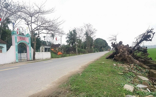 Khởi tố tài xế đâm 7 người thương vong trong đêm Giao thừa Ảnh 2