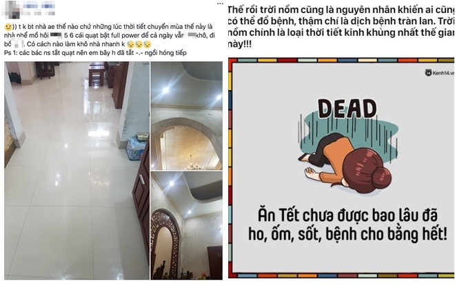 Dân mạng kêu trời vì 'thánh nồm' hoành hành quá lâu, bật quạt cả ngày mà nhà cửa vẫn ướt nhẹp Ảnh 2