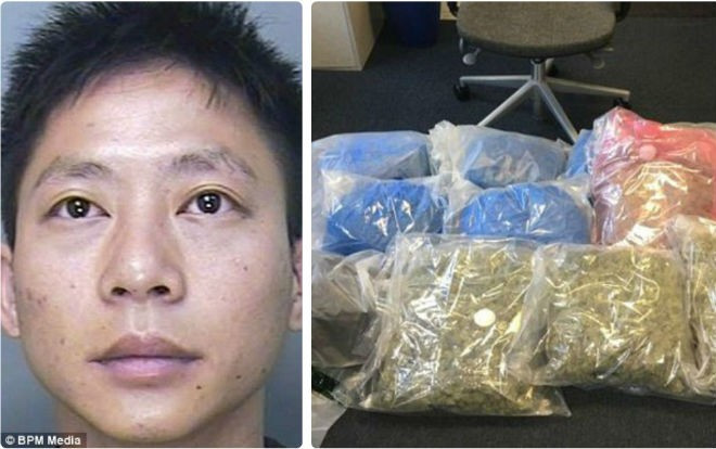 Triệt phá đế chế cần sa gần 300 tỷ đồng của người Việt tại Anh Ảnh 2