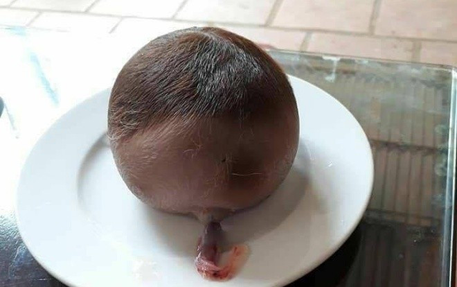 Bò đẻ ra một ‘vật lạ’ to như đầu trẻ sơ sinh Ảnh 2