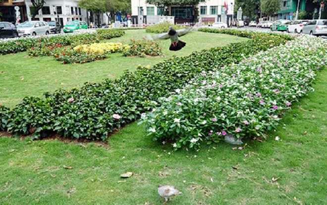 Bãi xe to nhất Sài Gòn thành công viên hoa Ảnh 2